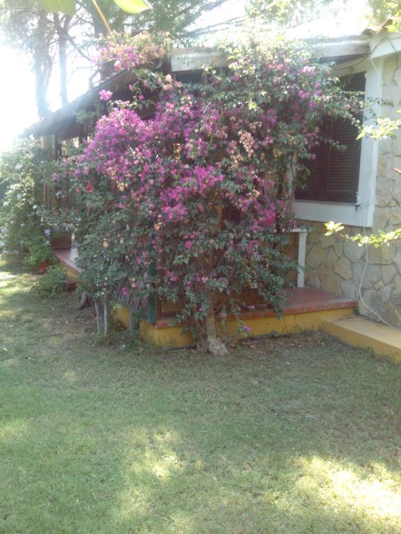 -Exclusive Private Villa- Villasimius Dış mekan fotoğraf